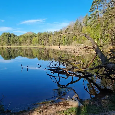 Wasgauer Felsen Und Seenland Apartamento